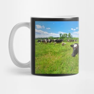 A herd of Holstein Friesian cows grazing on a pasture under blue cloudy sky Mug